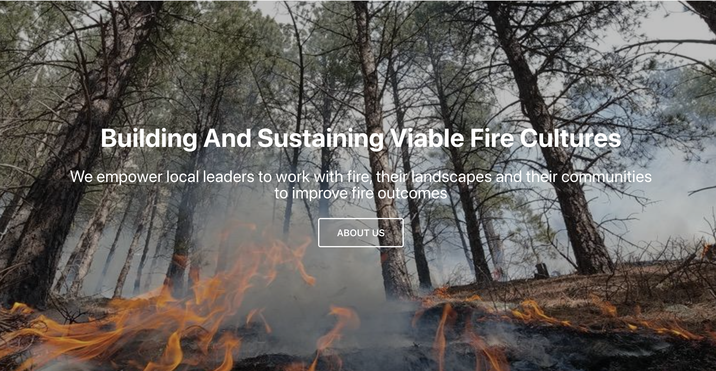Fire Networks (FLN-TREX-FAC Net-IPBM)